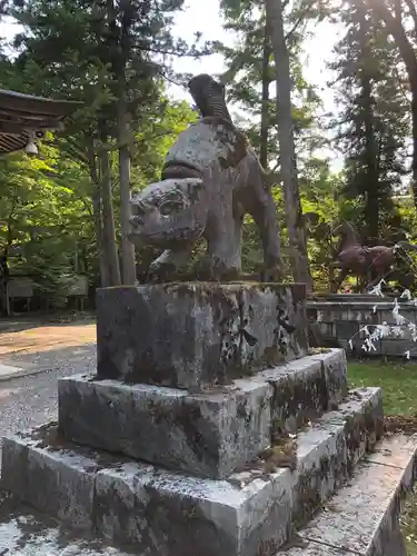 養父神社の狛犬