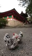 石上神宮の動物