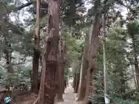 日吉神社(千葉県)
