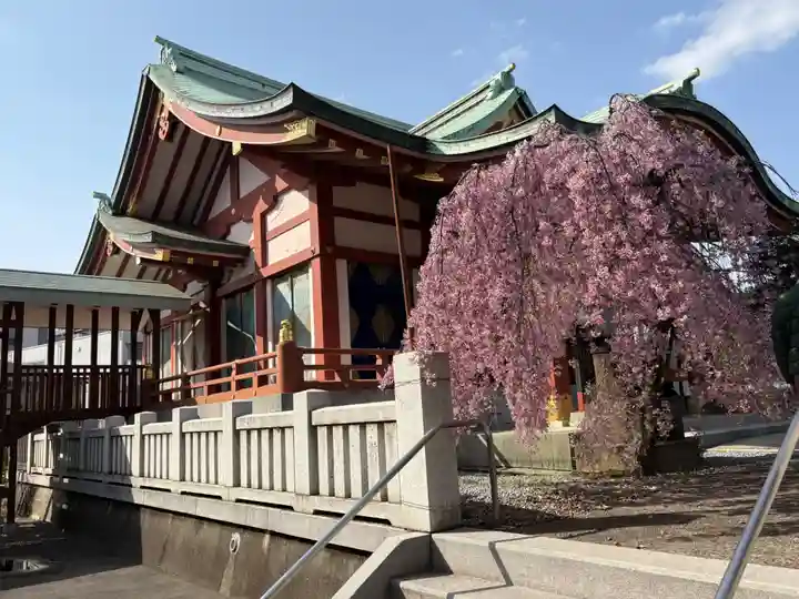 千住神社(東京都)