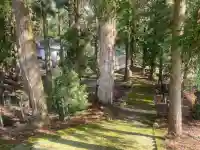 山神社の{uncategorized: "未分類", other: "その他", undefined: "問題あり", building: "その他建物", grave: "お墓", sacred_gate: "鳥居", guardian: "狛犬", statue: "像", buddha: "仏像", history: "歴史", nature: "自然", garden: "庭園", animal: "動物", pagoda: "塔", temizu: "手水舎", mountain_gate: "山門・神門", sanctuary: "本殿・本堂", subordinate: "末社・摂社", art: "芸術", scenery: "景色", jizo: "地蔵", ema: "絵馬", goshuin: "御朱印", omikuji: "おみくじ", items: "授与品その他", amulet: "お守り", goshuincho: "御朱印帳", eats: "食事", festival: "お祭り", votive_dance: "神楽", shichigosan: "七五三参", wedding: "結婚式", experience: "体験その他", initially: "初詣", around: "周辺", anti_infection: "感染症対策"}