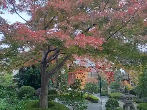 月蔵寺(大阪府)