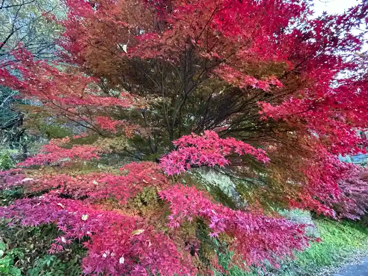国宝 大法寺(長野県)