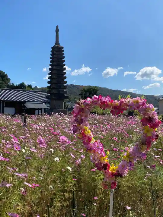 般若寺 ❁コスモス寺❁の塔