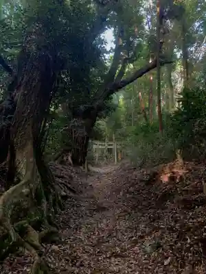 大宮神社(千葉県)