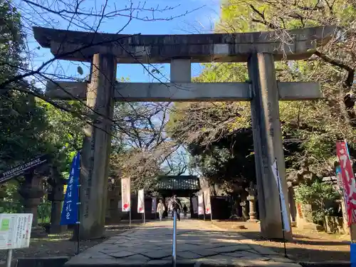 上野東照宮の鳥居