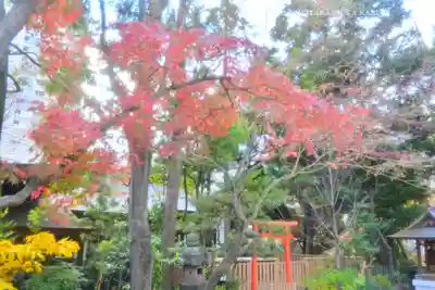 愛宕神社(東京都)