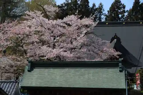 龍穏院の景色