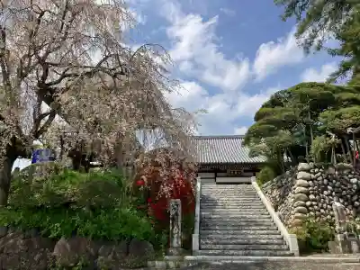 宗泉寺の御朱印