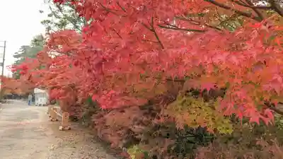 鍬山神社の自然