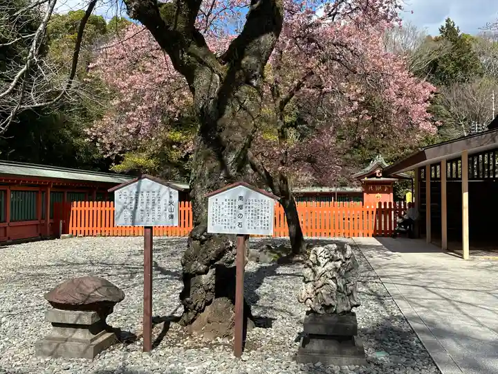 富士山本宮浅間大社(静岡県)