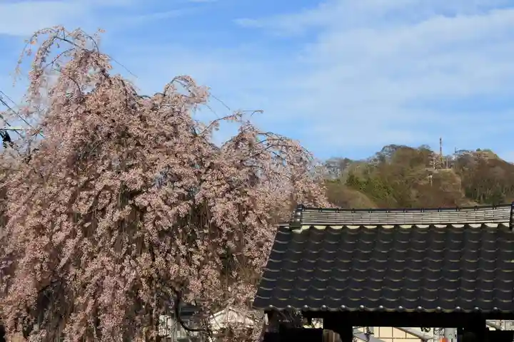 法蔵寺の山門・神門