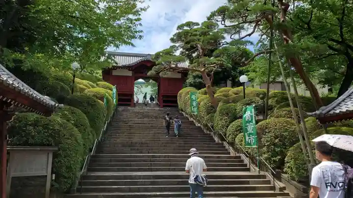 護国寺(東京都)