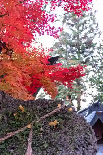 諏訪大社下社秋宮(長野県)