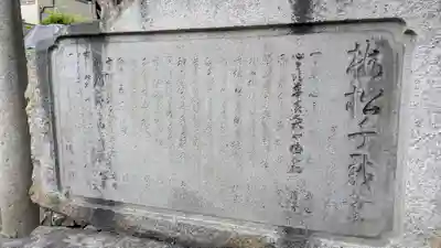 菅大臣神社(京都府)