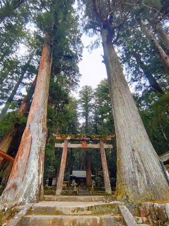 室生龍穴神社の自然
