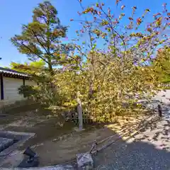 仁和寺(京都府)