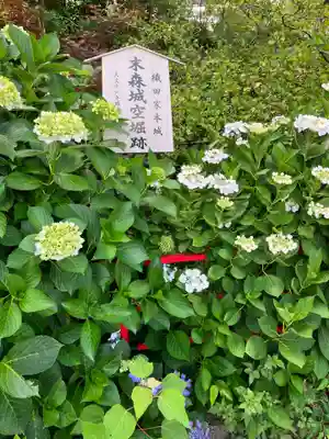 城山八幡宮の周辺
