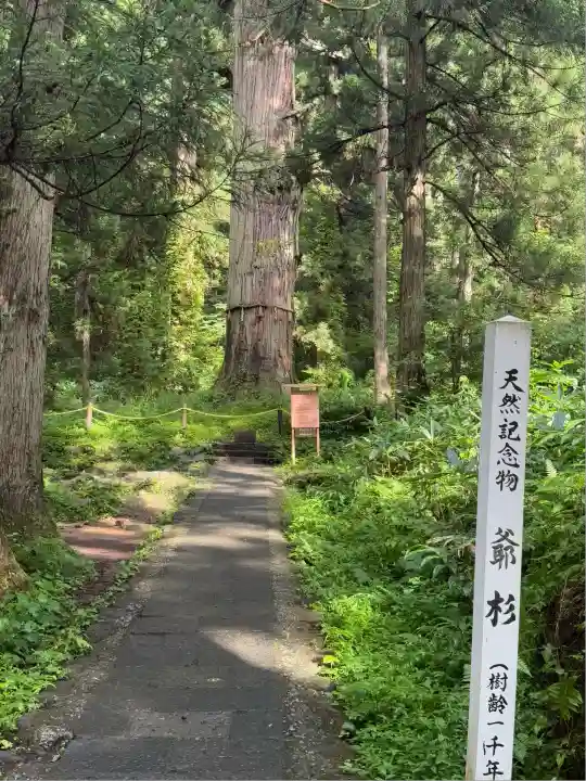 羽黒山五重塔(出羽三山神社)(山形県)