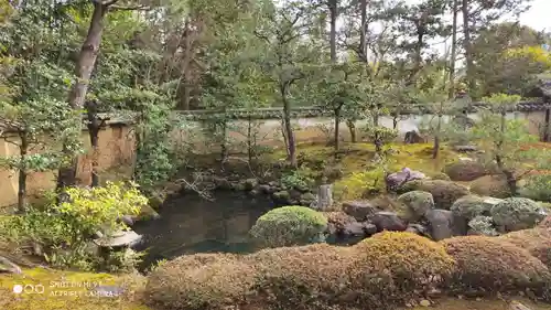 大雄院の庭園