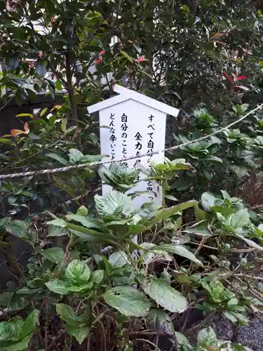 蓮田東照宮のその他建物