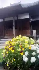 菩提寺の自然