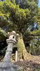 日吉神社(福井県)