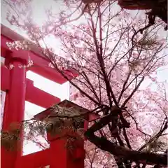 彌彦神社　(伊夜日子神社)(北海道)