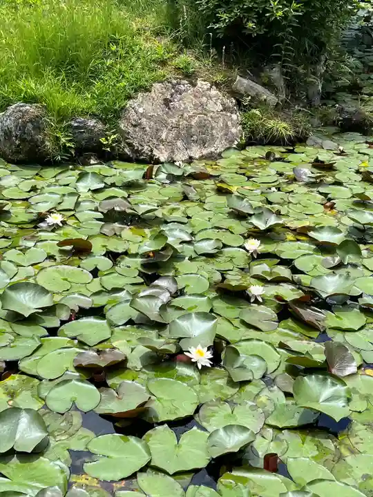 石清水八幡宮(京都府)