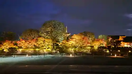 東寺（教王護国寺）の{uncategorized: "未分類", other: "その他", undefined: "問題あり", building: "その他建物", grave: "お墓", sacred_gate: "鳥居", guardian: "狛犬", statue: "像", buddha: "仏像", history: "歴史", nature: "自然", garden: "庭園", animal: "動物", pagoda: "塔", temizu: "手水舎", mountain_gate: "山門・神門", sanctuary: "本殿・本堂", subordinate: "末社・摂社", art: "芸術", scenery: "景色", jizo: "地蔵", ema: "絵馬", goshuin: "御朱印", omikuji: "おみくじ", items: "授与品その他", amulet: "お守り", goshuincho: "御朱印帳", eats: "食事", festival: "お祭り", votive_dance: "神楽", shichigosan: "七五三参", wedding: "結婚式", experience: "体験その他", initially: "初詣", around: "周辺", anti_infection: "感染症対策"}