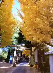 青山熊野神社(東京都)