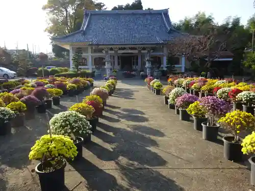 総世寺の本殿・本堂