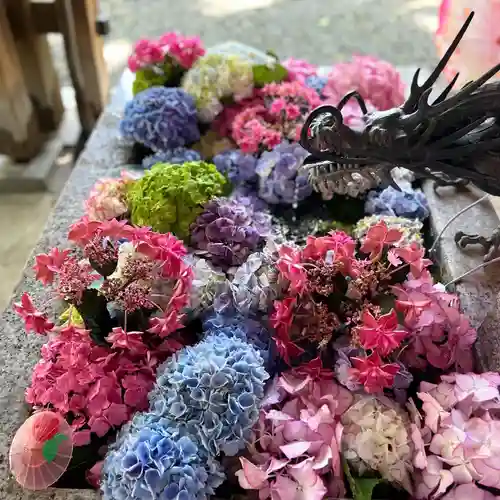 札幌諏訪神社の手水