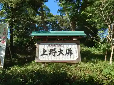 上野大佛(東京都)