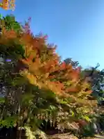 滑川神社 - 仕事と子どもの守り神の自然