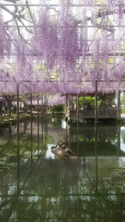 秋葉神社の自然