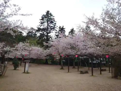 厳島神社(広島県)