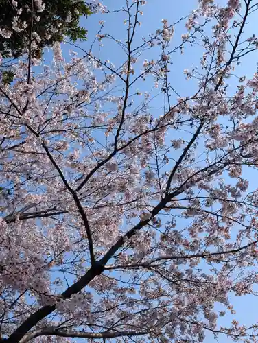 豊顕寺(神奈川県)