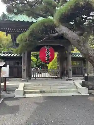 長谷寺の山門・神門