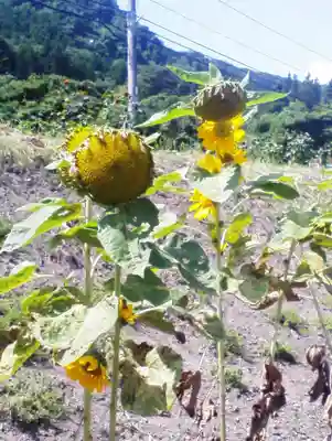 高司神社〜むすびの神の鎮まる社〜の周辺