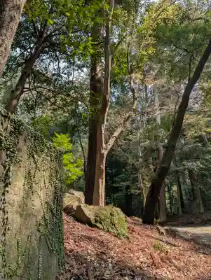 伊和神社の{uncategorized: "未分類", other: "その他", undefined: "問題あり", building: "その他建物", grave: "お墓", sacred_gate: "鳥居", guardian: "狛犬", statue: "像", buddha: "仏像", history: "歴史", nature: "自然", garden: "庭園", animal: "動物", pagoda: "塔", temizu: "手水舎", mountain_gate: "山門・神門", sanctuary: "本殿・本堂", subordinate: "末社・摂社", art: "芸術", scenery: "景色", jizo: "地蔵", ema: "絵馬", goshuin: "御朱印", omikuji: "おみくじ", items: "授与品その他", amulet: "お守り", goshuincho: "御朱印帳", eats: "食事", festival: "お祭り", votive_dance: "神楽", shichigosan: "七五三参", wedding: "結婚式", experience: "体験その他", initially: "初詣", around: "周辺", anti_infection: "感染症対策"}