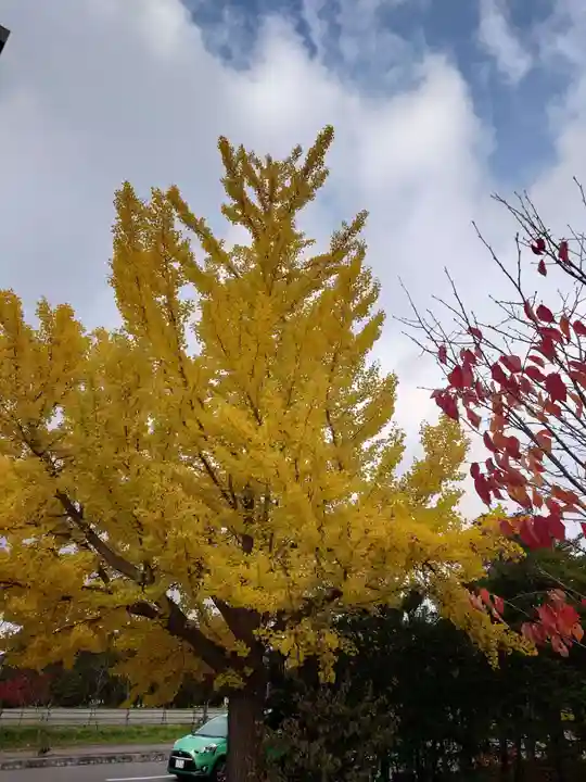 栗山天満宮(北海道)