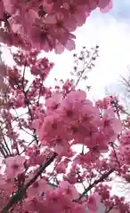 阿邪訶根神社の自然