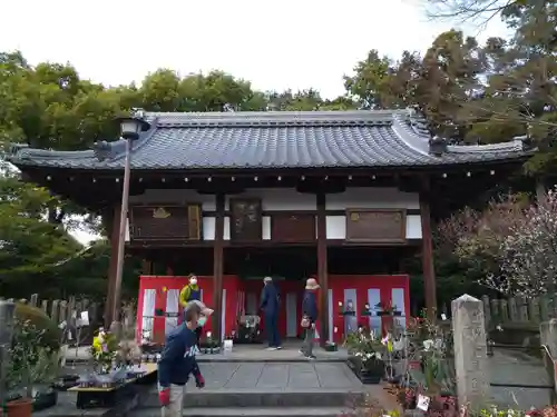 城南宮の本殿・本堂