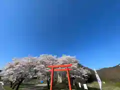 子檀嶺神社の鳥居