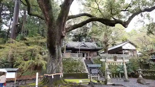 事任八幡宮の庭園