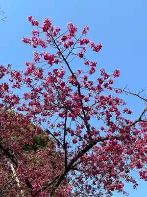 亀戸天神社(東京都)