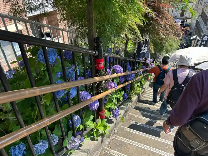 白山神社(東京都)