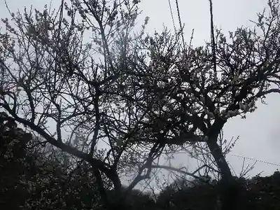 光則寺(神奈川県)