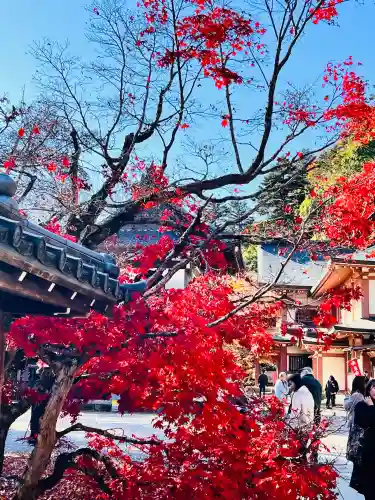 永源寺(滋賀県)